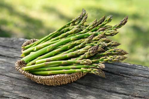 How Do You Prepare Asparagus For Turtles