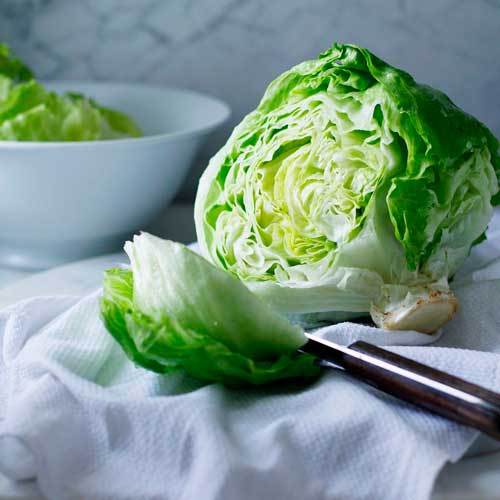 Iceberg lettuce