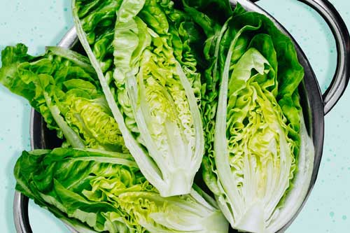 Romaine lettuce