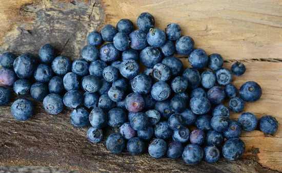 How Do You Prepare Blackberries For Turtles