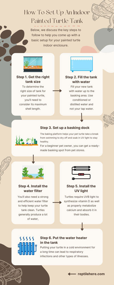 How To Set Up An Indoor Painted Turtle Tank