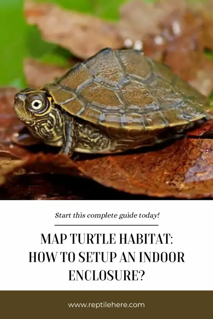 Map Turtle Habitat