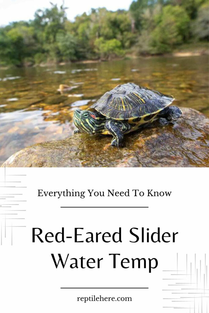 Red-Eared Slider Water Temp