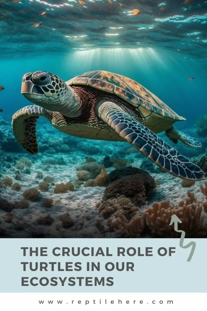 The Crucial Role of Turtles in Our Ecosystems