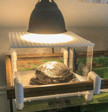 A UVB lighting set up for pet turtles
