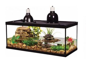 Turtle Tank Setup: Step-by-Step Guide For A Healthy Environment ...