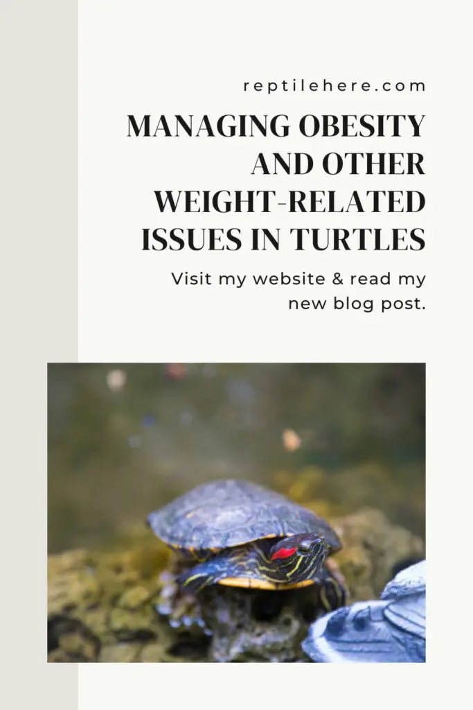 Managing Obesity and Other Weight-related Issues in Turtles