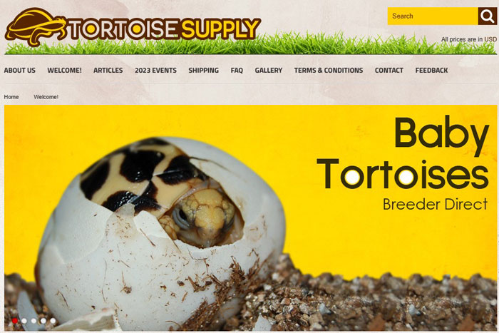 Tortoise Supply
